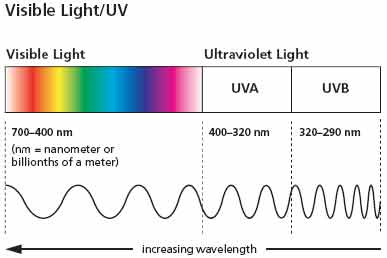 Uva uvb on sale